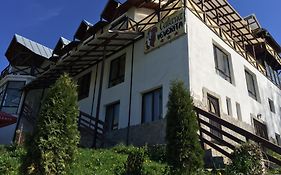 Pensiunea Cabana Veverita Valea Doftanei